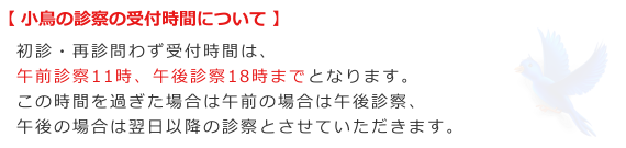 小鳥の診察の受付時間について