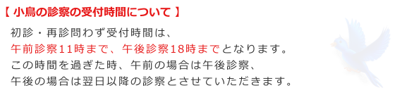 小鳥の診察の受付時間について