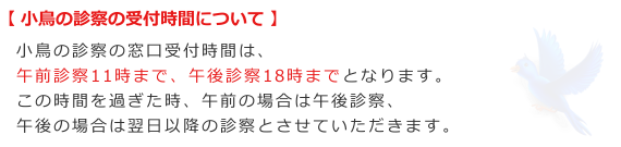 小鳥の診察の受付時間について